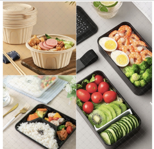 Food Containers/Free Meal Prep Containers/Microwavable Bento Box For Reusable Food Storage And Lunch Boxes