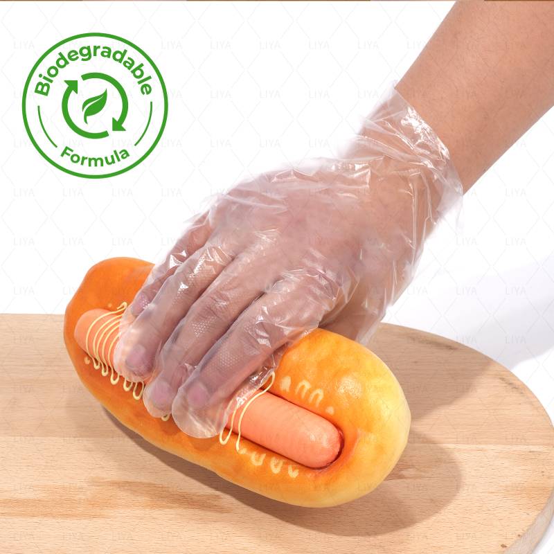 PE Gloves