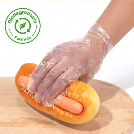 clear plastic self adhesive bags